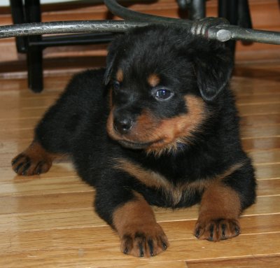 How about from this angle???