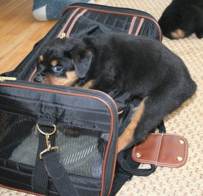 Jewel says it's time to go to California!