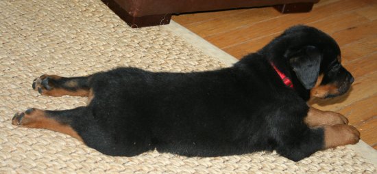 Red boy doing his froggie impression...